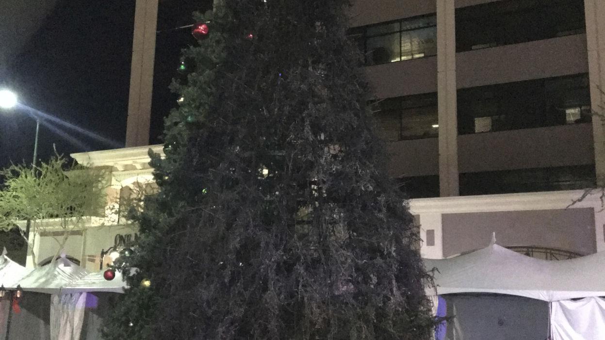 Man accused of burning Arizona city's $40K Christmas tree